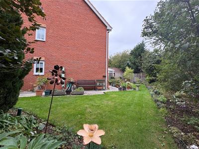 Picture 19
